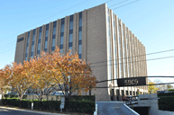 office location